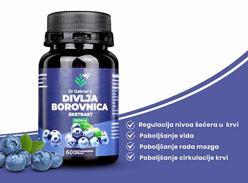 Dr Gabriels ektrakt divlje borovnice