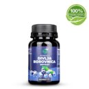 Dr Gabriels Divlja borovnica kapsule - Vegetarijanske kapsule