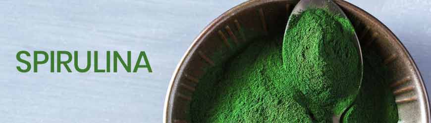 Spirulina puder