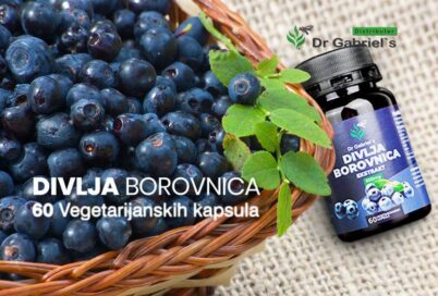 Divlja borovnica i njeni benefiti