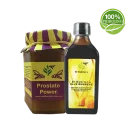 Dr Gabriels Set za prostatu Prostate Power i Ulje Bundeve